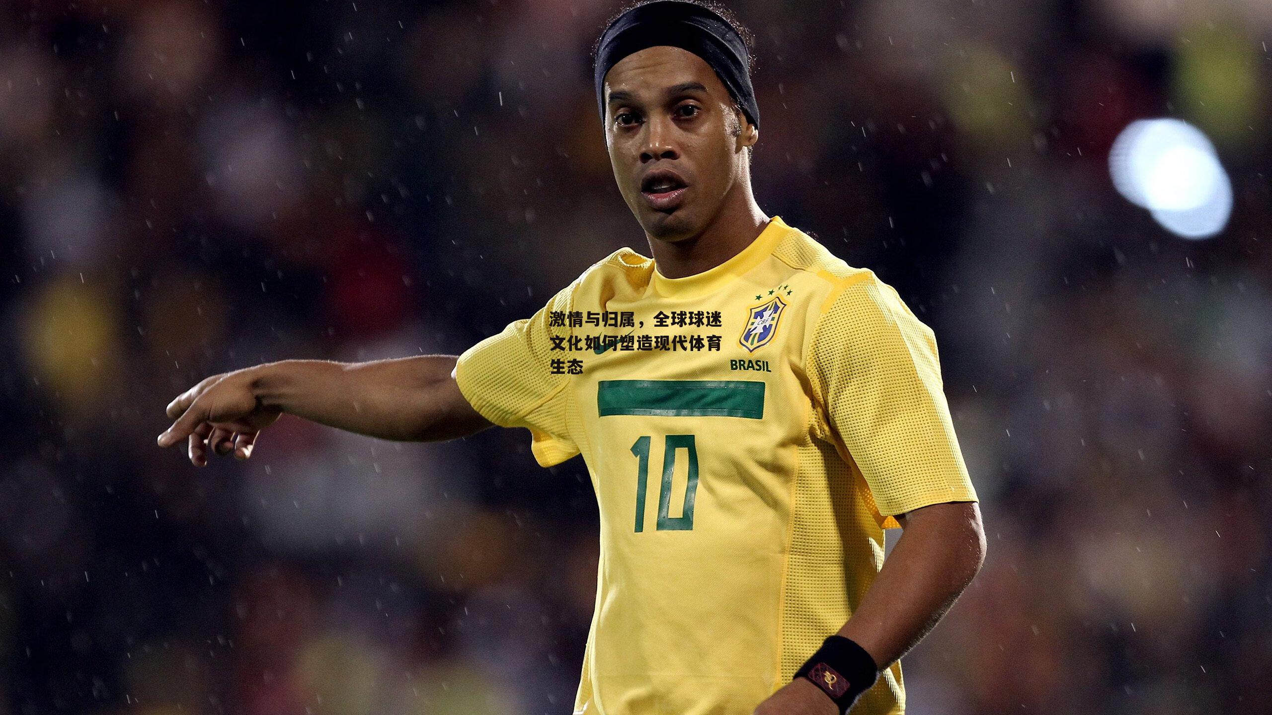 激情与归属,全球球迷文化如何塑造现代体育生态